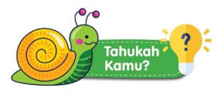 Tahukah Kamu?