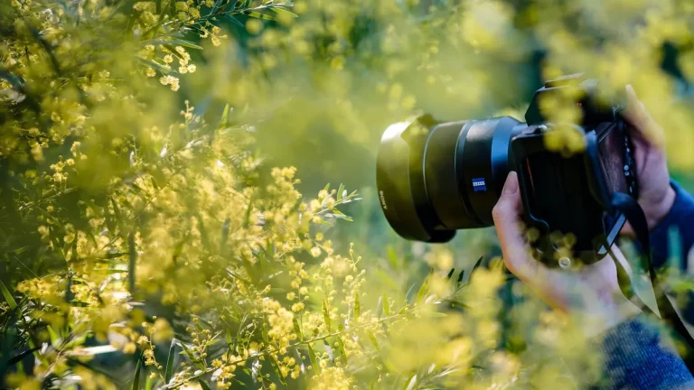 Mengenal Teknik Yang Populer Digunakan Dalam Seni Fotografi