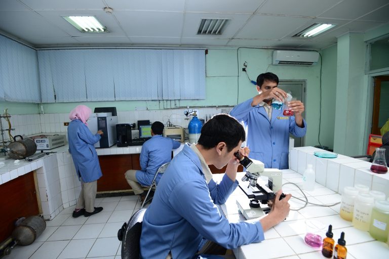 Mengenal Contoh Produk bioteknologi modern