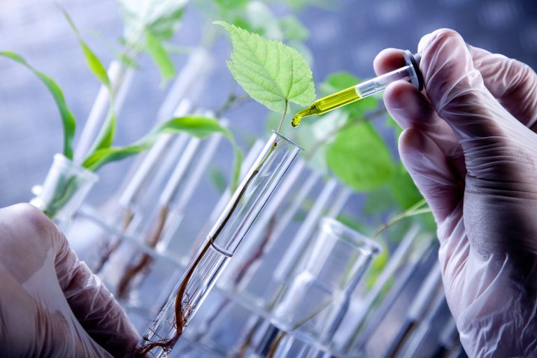 10 Keuntungan Menggunakan Bioteknologi Dalam Berbagai Bidang