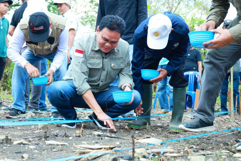 Bupati Barru Gelar Tanam Jagung Bersama di Tanete Riaja