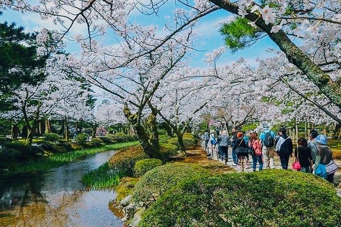 Sejarah Dan Keunikan Taman Kenrokuen, Kanazawa