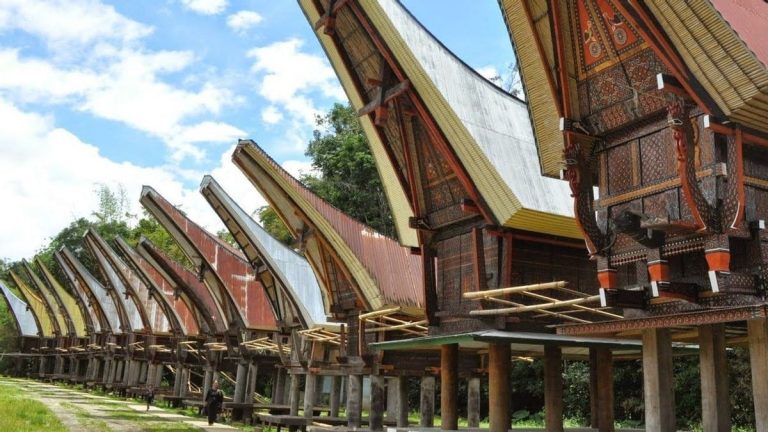 Rumah Tongkonan : Sejarah, Fungsi, Keunikan, Ciri-ciri dan Filosofinya