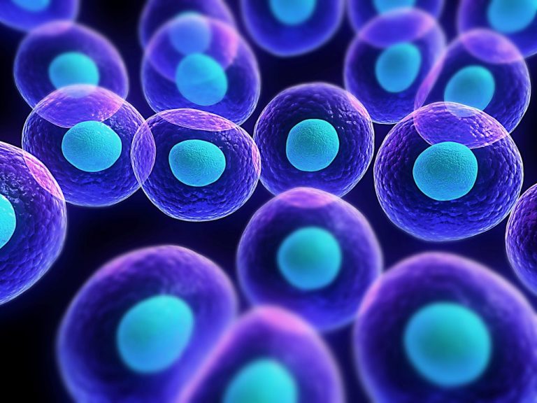 Sel dan Kehidupan: Menelusuri Sejarah dan Struktur Sel dalam Biologi