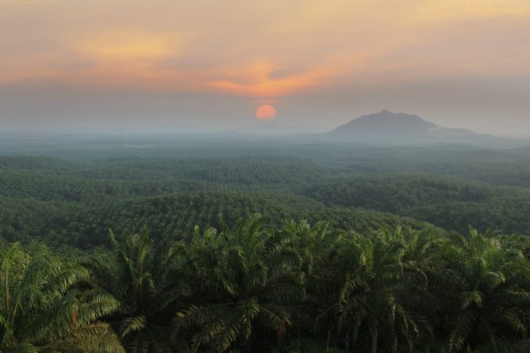 Astra Agro Kooperatif Beri Keterangan Status Lahan RAS ke Kejati Sulteng