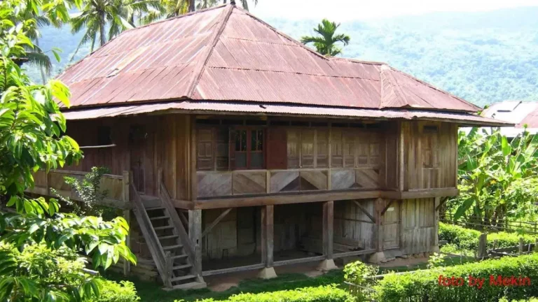 Sejarah, Ciri-ciri, Fungsi dan Keunikan Nuwo Sesat, Rumah Khas Lampung