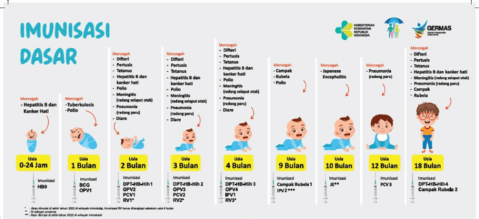 Imunisasi Dasar Lengkap