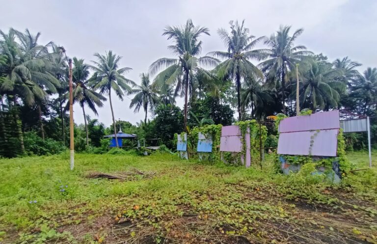 Ilusi Wisata Mandiri: Destinasi di Tengah Semak Liar