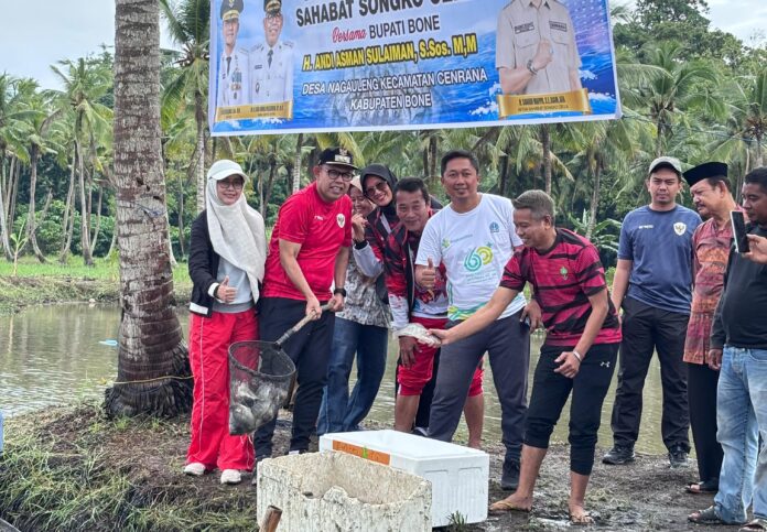 Wakil Bupati (Wabup) Bone Andi Akmal Pasluddin panen perdana budidaya ikan nila Sahabat Songko Cella di Desa Nagauleng, Kecamatan Cenrana, Kabupaten Bone, Ahad (29/6/2025).
