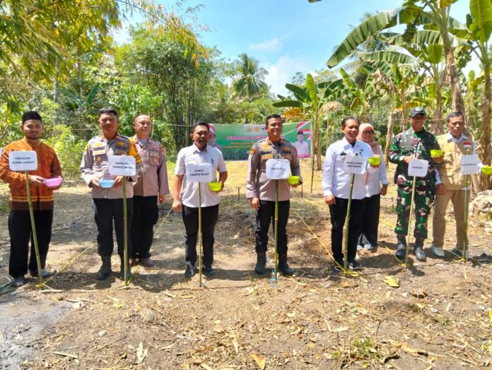 Sinergi Polres Barru dan Kurir Langit: Tanam Jagung Dukung Ketahanan Pangan (Dok. Humas Polres Barru)