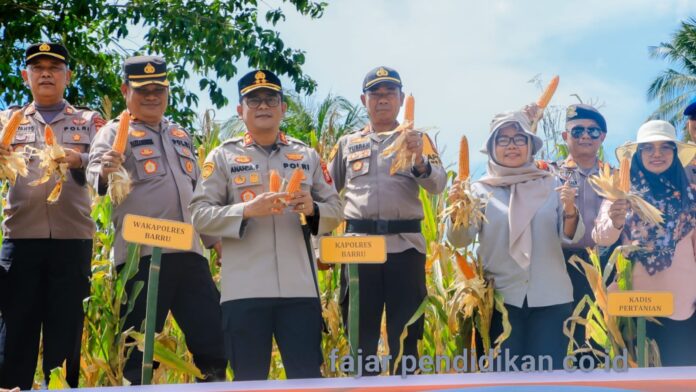 Kapolres Barru turun langsung memimpin panen jagung, sejalan dengan arahan Kapolri untuk swasembada pangan.