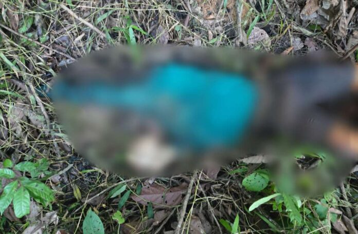 Pelajar Asal Luwu Ditemukan Tewas di Kebun Wajo, Tengkorak Retak dan Kaki Patah