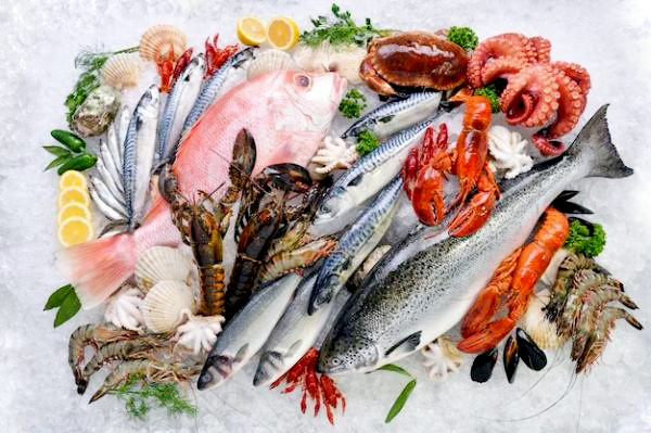 ikan rendah merkuri